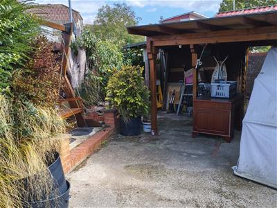 Picture 17